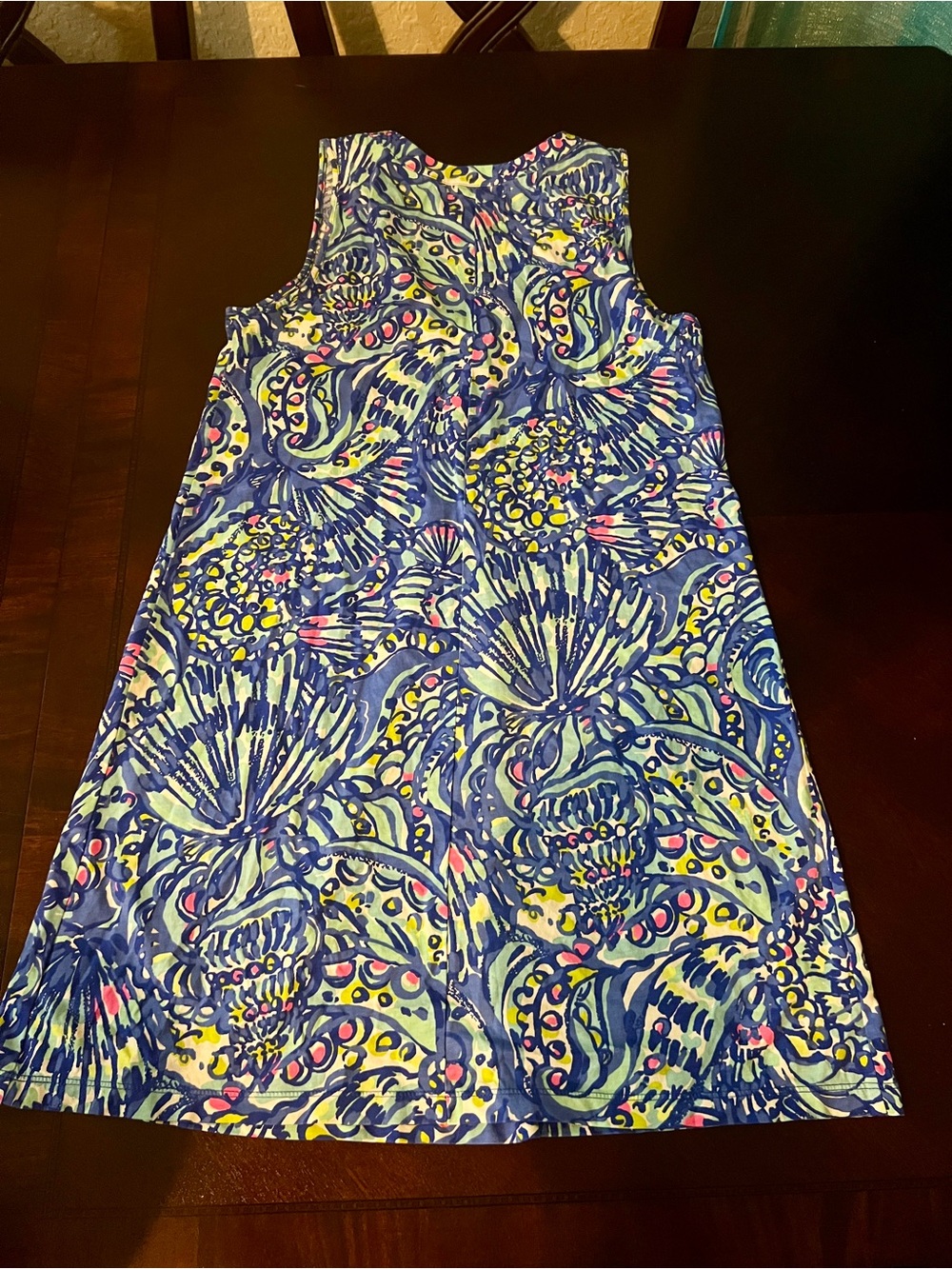 Lilly Pulitzer Amina V-neck Blue Multi Paisley Print Sleeveless Dress Size Small - Picture 4 of 13